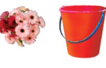 Buckets and bouquets