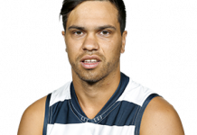 News briefs: Cats, ocean road rocks, new town