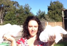 Plastic bags should be banned, says Surf Coast