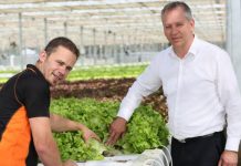 Avalon $320m farm seeks go-ahead assurance