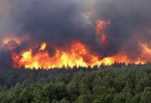 Fire outbreak triggers deadly warning