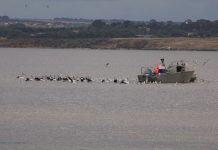 Backers buoy Corio Bay anti-netters