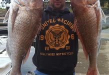 Big snapper keeping local anglers busy around the bay and offshore