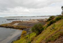 Rippleside marina in no rush as delays blow out: Ramsay