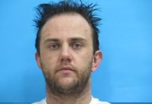 Police arrest alleged divvie van escapee