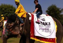 Double take: Re-headed, elephants, solidarity