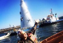 $38m Christmas tree moves into Geelong waterfront