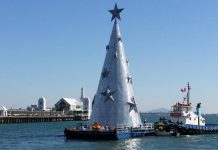 More to come for Xmas tree, says designer