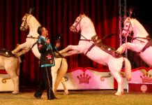 Surf Coast bans caged animals circuses