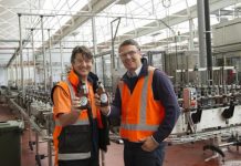 Furphy’s a real bottler for brewery