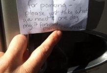 Double Take: Cats, heads, Yuletide …