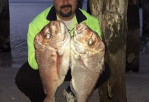 Angling: Mixed bags with as summer begins