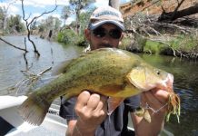 St Leonards produces big variety