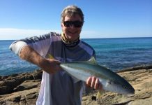 Kings of The Rip – and elsewhere