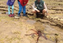 Local pair at home on Parks Vic ranger duty