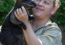 Heat’s on our upset wildlife