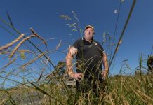 Councillor on grass: VicRoads has let the joint go to pot