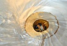 Geelong Advertiser sales keep falling, says audit