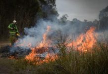 Mild weather allows summer burn-off at Ocean Grove