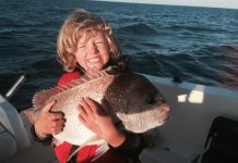 Snapper, mulloway, kingfish provide tantalising targets across region