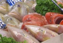 Sewage seafood fears hit Geelong