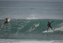 Double Take: Cockatoo, surf pros drop in …
