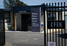 Councillor steps in on pet claims