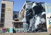 Artist’s beauty writ large on wall of Powerhouse hub