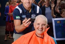 Cats in a close shave