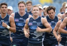 Cats primed for Hawthorn blockbuster