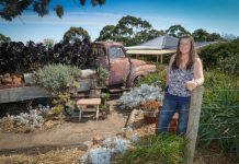 Naomi’s garden secrets revealed to the public this weekend