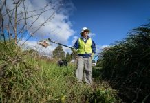 Authorities up the creek in bid to clean up Corio Bay