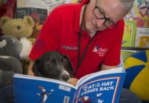 Kids ‘read to dog’ in unique Geelong study