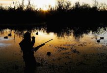 Duck hunters now the hunted
