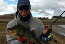 ON THE BITE: Season to snag a salmon