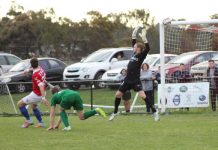 North facing South in battle of NPL polar opposites