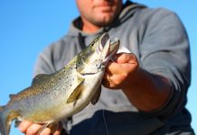 On the Bite: Bay gives refuge