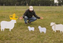 Paddock art ‘just for laughs’, says Wallington’s mystery commentator