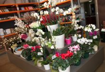 Dispute threat for flower jobs