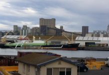 Geelong Star returns to Corio Bay after latest killing