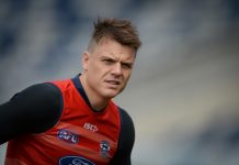McIntosh quits Cats
