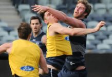 Danger game for Cats