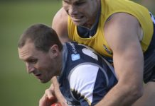 Cats face AFL’s Giant challenge