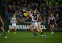 Tomahawk signs with Cats for another 5 years