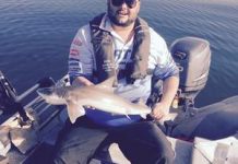 Estuary shelter provides goods