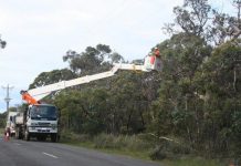 Anger at ‘chainsaw massacre’
