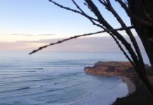 Red Whyte’s not drowning, but exhibiting instead …