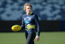 Guthrie re-signs with Cats