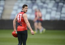Magpies, Crows but no lame ducks at Geelong