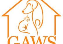 Car hits woman at GAWS, man bailed